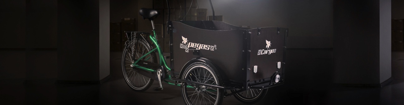 Feud Easter Outcome Biciclete Cargo pentru afacerea ta | Bicicleta Pegas