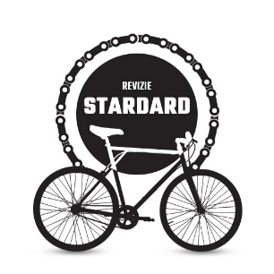 REVIZIE STANDARD