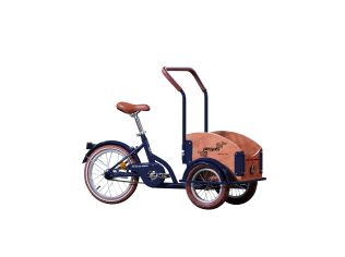 Bicicleta Copii Pegas Mini Cargo Albastru Calator