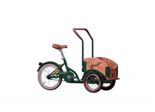 Bicicleta Copii Pegas Mini Cargo Verde Smarald