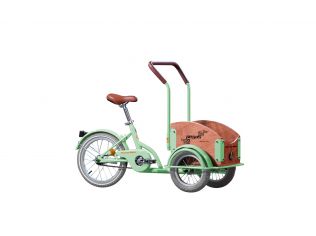 Bicicleta Pegas Mini Cargo Verde Fistic