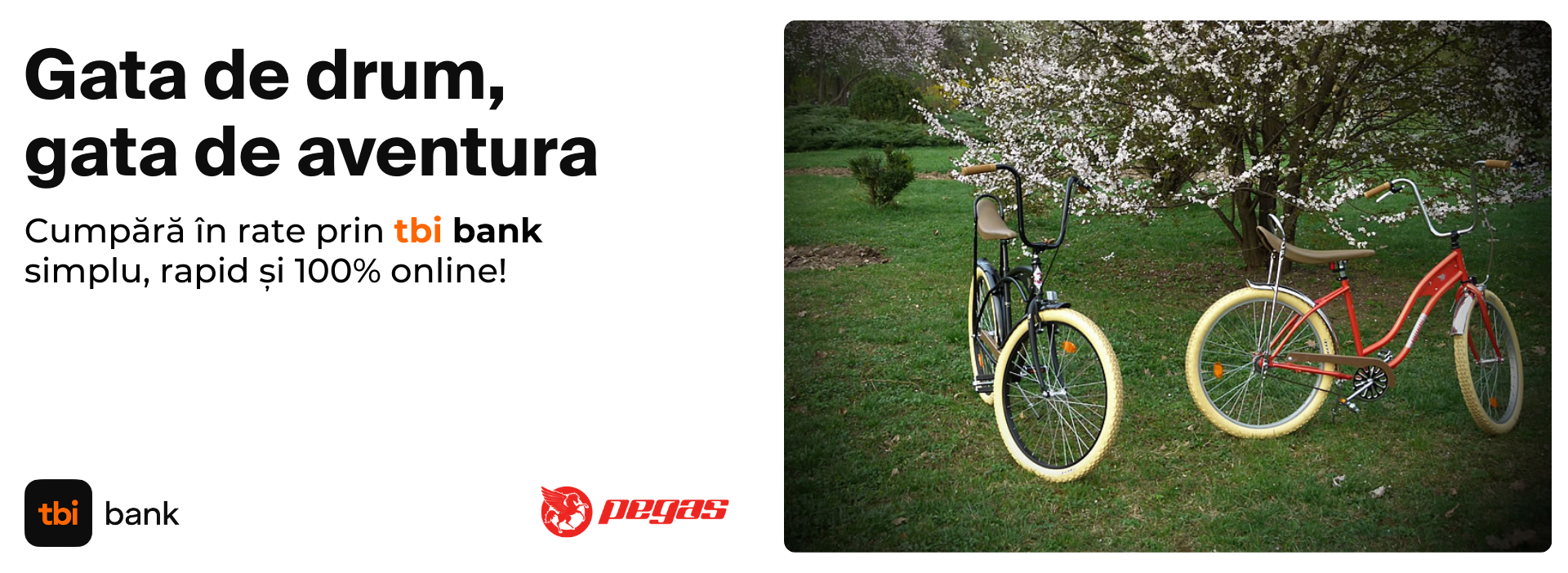 pegas_1920_x_702_px_